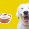 yogurth perros